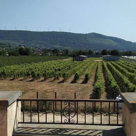 Agriturismo Il Casale Del Cavaliere SantʼAgata deʼ Goti Exteriör bild