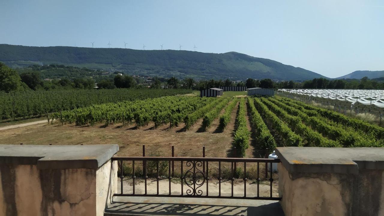 Agriturismo Il Casale Del Cavaliere SantʼAgata deʼ Goti Exteriör bild