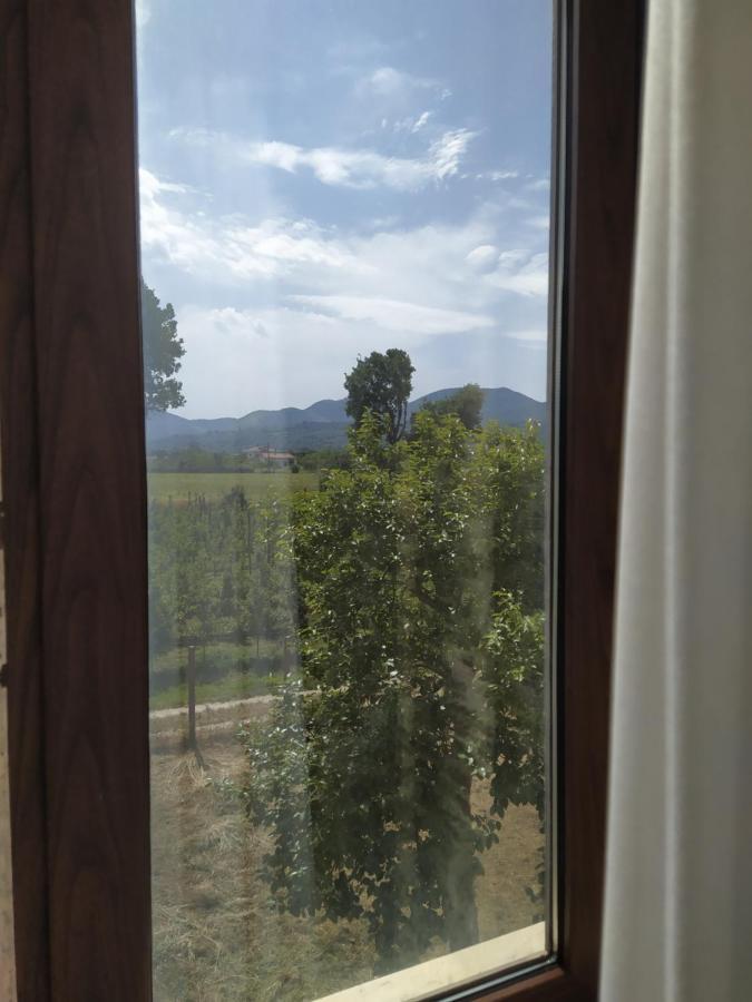 Agriturismo Il Casale Del Cavaliere SantʼAgata deʼ Goti Exteriör bild